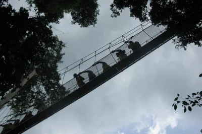 Experience takoradi’s market circle, kakum canopy walk, local cuisine, and a drive by cape coast castle on this immersive shore excursion in ghana.