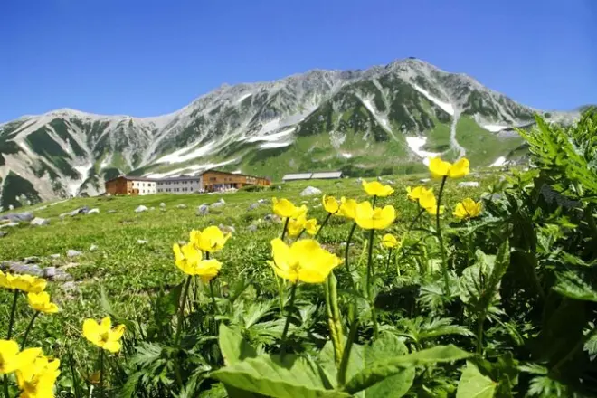 Rota alpina Tateyama-Kurobe: Caminhada no teto do Japão