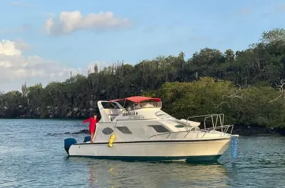 Traghetto da Puerto Ayora a Tortuga Bay: Trasferimento 15 minuti