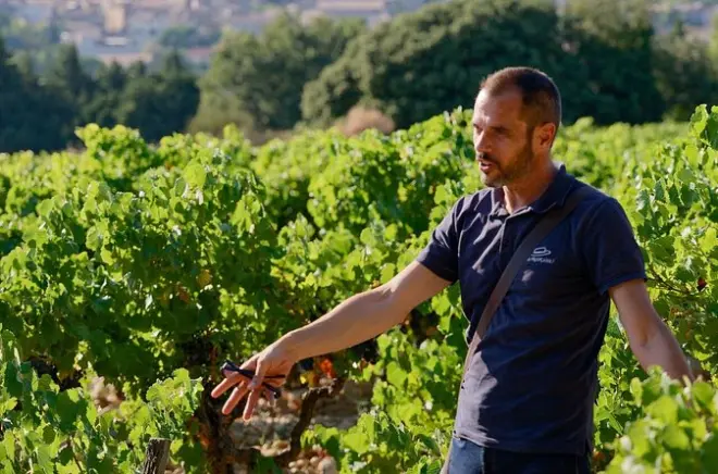 Bandol und Cassis Weinverkostung ab Aix en Provence: Zwei Weinproben