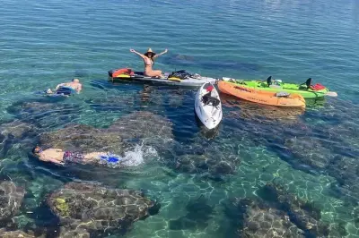 Snorkel en Redondo Beach Harbor: Sostiene estrellas de mar y pulpos