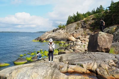 Sinta a brisa do báltico, experimente um almoço finlandês à beira-mar e explore as tranquilas florestas de porkkala neste passeio de um dia saindo de helsinque com guia local e equipamentos sazona