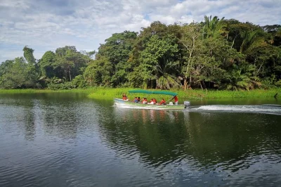Watch monkeys on gatun lake, cruise the panama canal, and share a panamanian brunch in casco viejo. includes pickup, local guide, and all food.