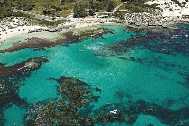 Rottnest Island day trip from Fremantle: Guided bus tour