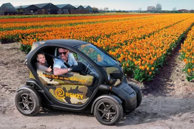 Erlebe den holländischen frühling im twizy durch die tulpenfelder bei keukenhof, mit halt auf einem bauernhof und gps-audioguide. inklusive fahrzeug, bauernhofbesuch und flexibler zeitgestaltung.