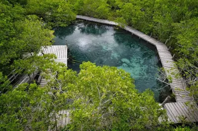 Bootstour zu drei Inseln bei Holbox: Cenote, Vögel & Strände