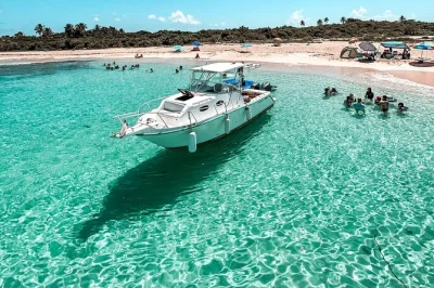 Feel the salt air on a private mako boat tour to icacos, palomino & palominito. snorkel tortuga reef, spot turtles, and relax with snacks and music. all gear included.