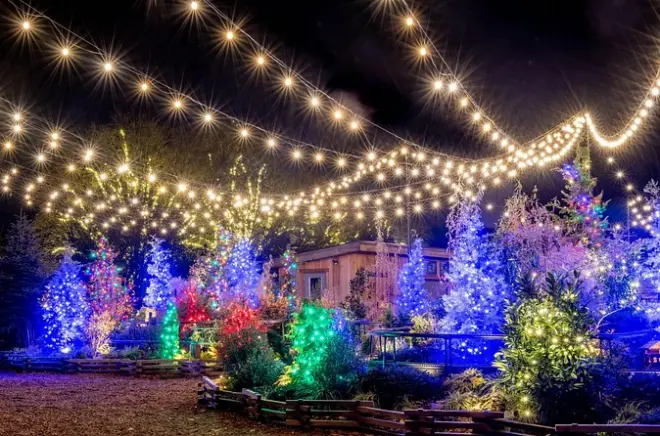 Longwood Gardens Holiday Lights Tour from Philadelphia