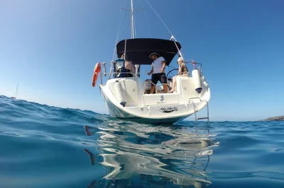 Erlebe eine kleine walbeobachtungstour auf teneriffa mit atlantikbrise. delfine entdecken, am ruhigen strand schwimmen und snacks sowie getränke genießen – inklusive hoteltransfer.