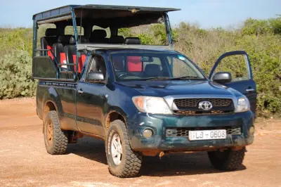 Safari privado de meio dia no parque nacional Yala, saindo de Tangalle