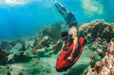 Erlebe den kick auf einem seabob scooter über arubas riffe, entdecke meeresschildkröten bei tres trapi und schwebe über bunten seesternen. inkl. abholung & lokaler guide.