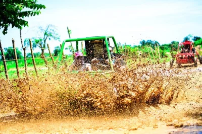 Vivez l’aventure en buggy de punta cana à macao beach, dégustez du cacao frais dans une ferme bio et nagez dans une grotte d’eau naturelle — avec transfert et dégustations inclus.