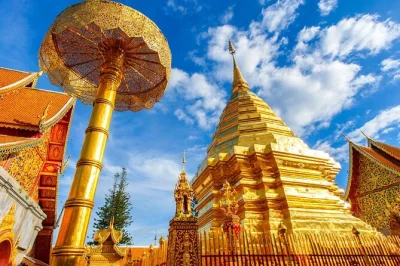 Inizia la tua mattina a chiang mai con un’escursione sul monk’s trail fino a wat pha lat, poi sali sul classico songthaew rosso per il tempio di doi suthep con una guida locale. include il pick-up