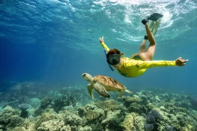 Feel the rush of a fast boat ride from cape tribulation, snorkel two great barrier reef sites with turtles, and enjoy eco talks—includes pickup and all gear.
