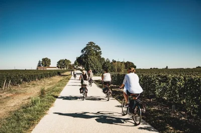 Pedale pelos vinhedos de saint-emilion de e-bike, prove vinhos em dois châteaux e aproveite um piquenique entre as videiras. inclui guia, degustações e equipamentos.