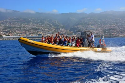 Feel the ocean air on a small-group madeira dolphin & whale watching tour. guided by a marine biologist, includes life jacket and eco-friendly boat. book your seat.