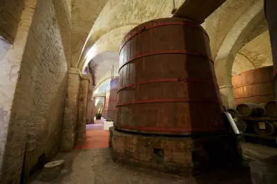 Mazzarosa Winery Private Tour: 5 Abruzzo wines and local tastings
