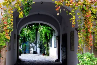 Vienna walking tour: Hidden gems with local guide