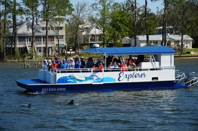 Watch wild dolphins in orange beach, explore quiet back bay creeks, spot osprey and eagles, and enjoy a small-group cruise with local guide. includes all fees.