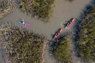 Kayaking on Folly Beach: Dolphins and Flatwater