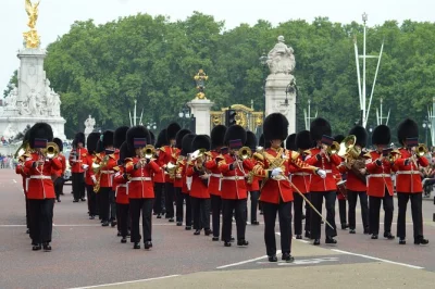 Vivi l’energia del cambio della guardia a londra con una passeggiata in piccolo gruppo, avvicinati a st. james’s palace e scopri le tradizioni reali con una guida esperta.