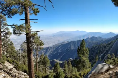 Biglietti Palm Springs Aerial Tramway: Salita al monte San Jacinto