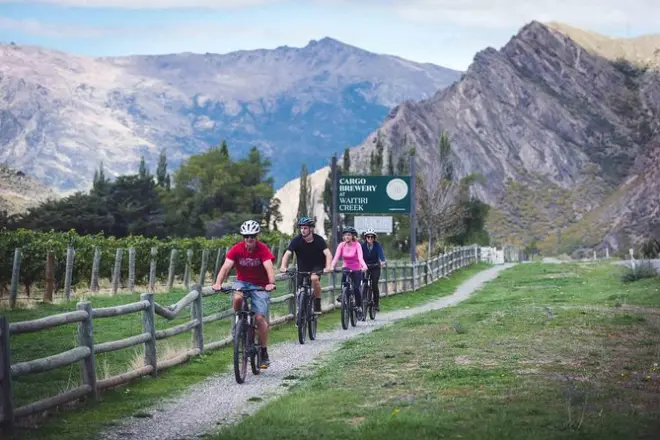 Passeio de bicicleta na região vinícola de Gibbston, meio dia