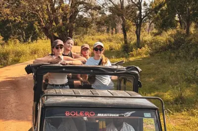 Safari elefanti a Minneriya: Tour privato in jeep da Sigiriya