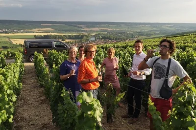 Start your champagne day trip from reims, taste 9 champagnes at family-run wineries, stroll hautvillers, and enjoy a bistro lunch in Épernay. small group, with pickup.