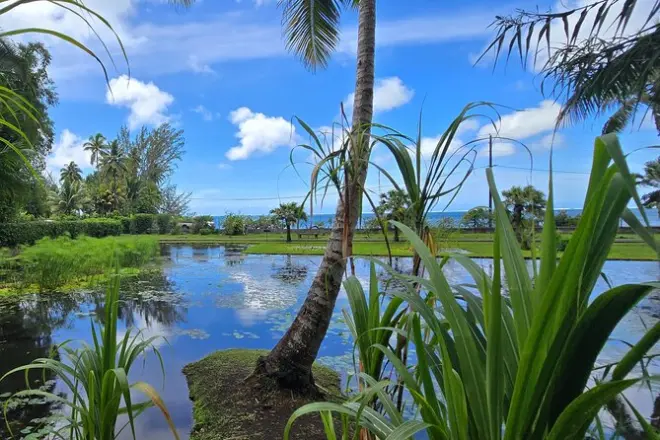 Día completo privado en Tahití con cascadas, grutas y vistas