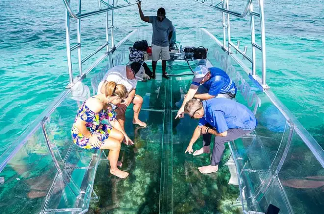 Barca trasparente a Caicos: Esplora la barriera corallina da vicino