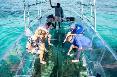 Bateau transparent aux îles Caïcos pour voir le récif de près