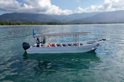 Watch humpback whales, playful dolphins, and seabirds off bahia ballena. includes boat tour, snorkeling or swimming, snacks, and local guide. book your spot today.