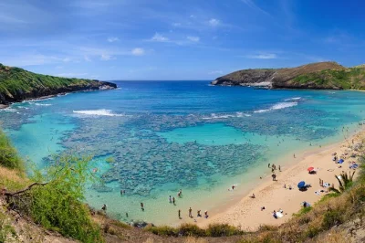 Oahu entdecken: rundreise mit food-tour ab waikiki, knoblauch-garnelen-mittagessen, stopp bei dole plantation und hoteltransfer inklusive.