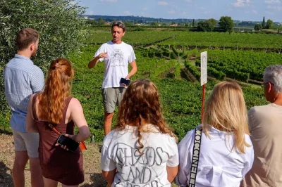 Scopri i vigneti storici di lazise sul garda, assaggia sei vini locali con formaggi e salumi, passeggia tra le vigne e ascolta la tradizione di una famiglia con oltre 100 anni di esperienza. include d