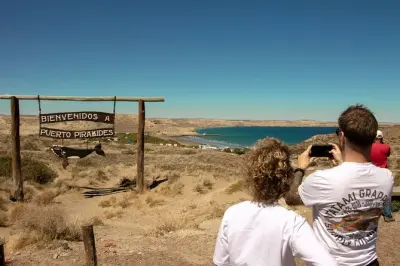 Peninsula Valdés desde Puerto Madryn con elefantes marinos incluidos