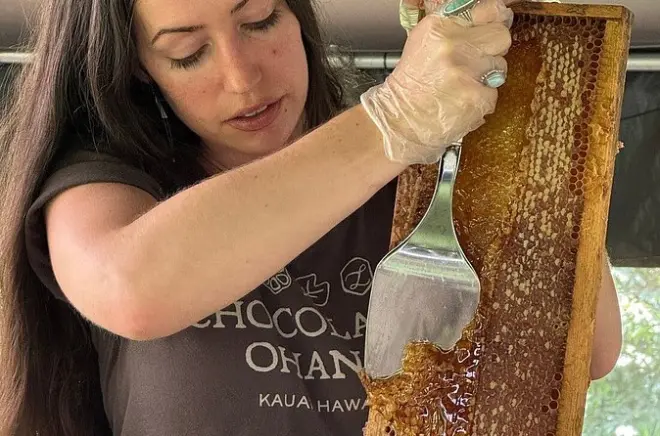 Kauai miele e api: Assaggia il miele fresco dal favo