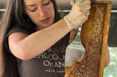 Kauai Honey and Bee Tour: Taste Fresh Honeycomb