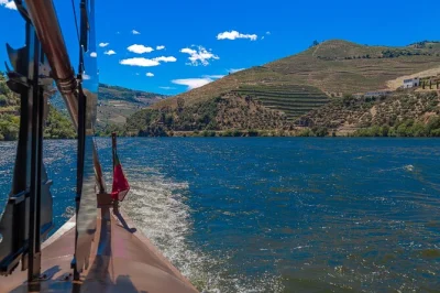 Scopri la valle del douro in portogallo con un tour privato tra vigneti, pranzo sul fiume e una crociera panoramica in barca. include il pick-up in hotel a porto.