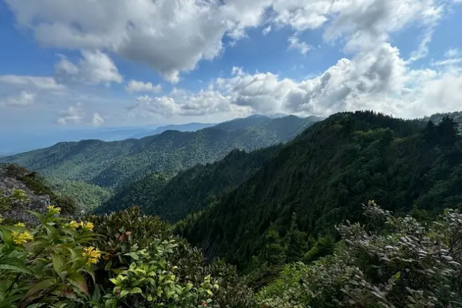 Smoky Mountains Private Tour: Full-Day Customizable Experience