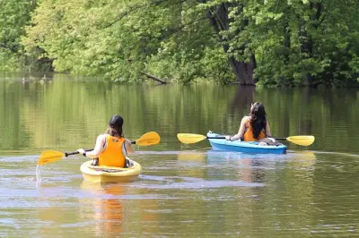 Observation de tortues en kayak dans la réserve Grandmaître, Ottawa