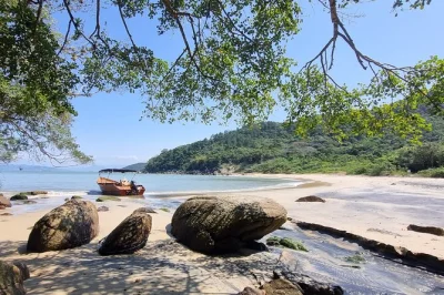 Feel the wild side of bombinhas with a zimbros boat tour to 10 deserted beaches, a waterfall hike, and local oyster farms. includes photos and guide.