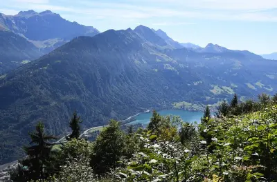 Transfer von Basel zum Flughafen Zürich mit Stopps in den Alpen