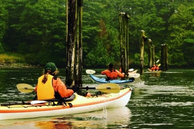 Ucluelet harbour erleben: kayak fahren, adler und bären beobachten, mehr über die gezeiten erfahren. inklusive ausrüstung, lokaler guide und familienfreundlich.
