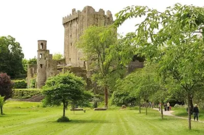 Blarney Castle & Cork City Tour: Small Group from Cruise Port