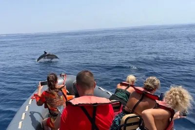 Algarve, grotta di benagil e avvistamento delfini con guida biologa marina. esplora baie limpide, nuota e vivi un’esperienza autentica. acqua inclusa e pet friendly.