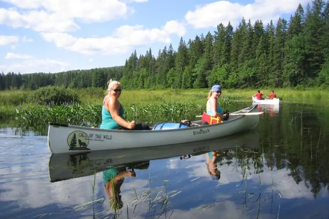 3-Day Algonquin Park Canoe Trip: Paddle, Camp & Wildlife