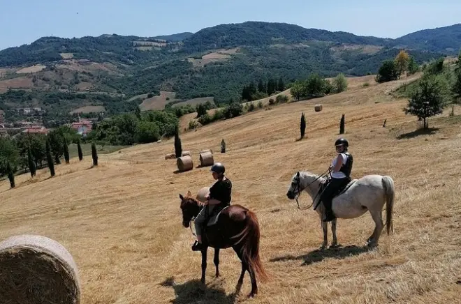 Reiten in den emilianischen Hügeln ab Vergato