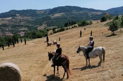 Balade à cheval dans les collines d'Émilie au départ de Vergato