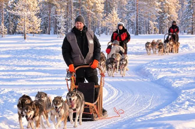 Safari husky depuis Levi : Balade en traîneau et visite de la ferme